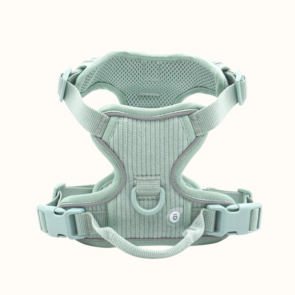 Personalized Airtag Harness